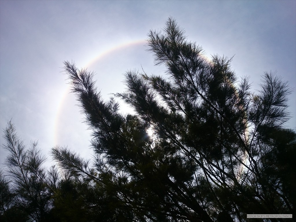 HALO DE LUZ ILUMINO MEXICO 